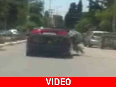 Μετέφερε δέντρα 5 μέτρων με το αυτοκίνητό του